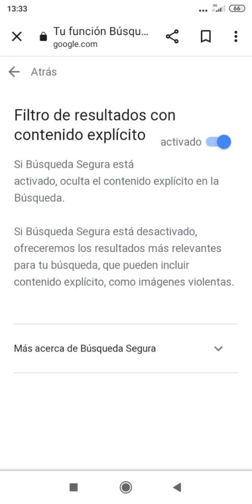 Google filtro activado